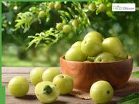 Benefits Of Amla: 5 Reasons To Consume Gooseberry Daily On An Empty Stomach