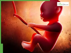 Rare Pregnancy Complications: What Causes Baby Movements to Stop Temporarily? Rare Pregnancy Complications: What Causes Baby Movements to Stop Temporarily?