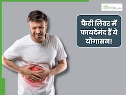 फैटी लिवर के लिए कौन सा योग सबसे अच्छा है? जानें 3 बेस्ट योगासन, जिनसे जल्द मिलेगा आराम
