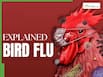 Bird Flu At The Brink: Is the World Staring at the Next Pandemic?