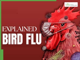Bird Flu At The Brink: Is the World Staring at the Next Pandemic? Bird Flu At The Brink: Is the World Staring at the Next Pandemic?