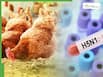 Bird Flu Alert: Is Cooking At 100°C Enough To Destroy The H5N1 Virus?
