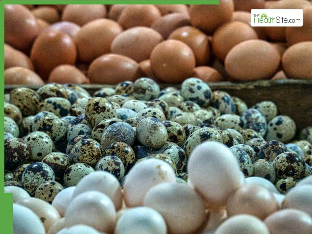 Bird Flu Outbreak In Russia: Are Eggs Still Safe To Consume? Top 5 ...