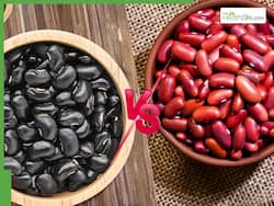 Black Beans Vs Red Beans: Which One Is Healthier For Your Body And Diet?