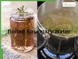 Boiled Rosemary Water: The Natural Hair Rinse Your Scalp Will Love