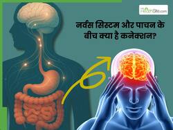 लगातार स्ट्रेस, डर या अनिश्चितता दिमाग के साथ-साथ नर्वस सिस्टम और पाचन को कैसे प्रभावित करते हैं? आखिर कनेक्शन क्या है?