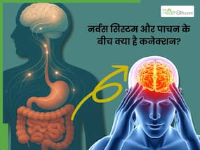 लगातार स्ट्रेस, डर या अनिश्चितता दिमाग के साथ-साथ नर्वस सिस्टम और पाचन को कैसे प्रभावित करते हैं? आखिर कनेक्शन क्या है?