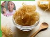 Can Sea Moss Boost Thyroid Health And Speed Up Weight Loss? Everything You Need To Know