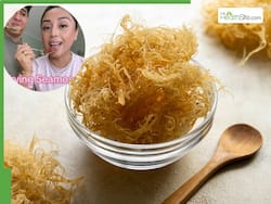 Can Sea Moss Boost Thyroid Health and Speed Up Weight Loss? Everything You Need To Know