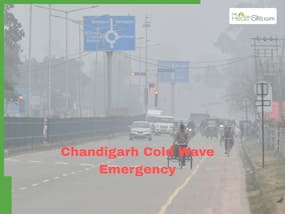 Chandigarh Cold Wave Emergency:Expert Reveals Some Preventive Measures To Protect Your Kids From Cold
