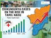Chikungunya Cases Rise In Tamil Nadu, Health Department Issues Statewide Alert: Why Cases Are Rising And How Families Can Protect Themselves | EXPLAINED