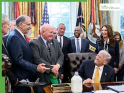 Donald Trump Signs Bill Allowing Whole Milk, Nondairy Options In School Lunches: Why Is It Better Than Low Fat and Skim Milk?