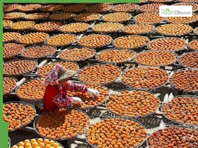 Dry Fruits Side Effect: 5 Common Health Risks Linked To Overconsumption Of Raisins, Apricots And More