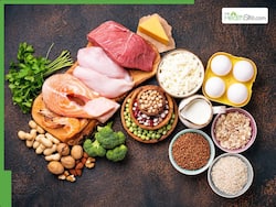 Eggs Aren   t The Only Protein Source,Try These 10 Foods Instead