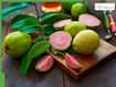 Guava Side Effects: 5 Types Of People Who Should Avoid Consuming This Superfruit, Know Its Side Effects And Health Risks