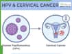 HPV And Cervical Cancer: Doctor Explains How The Virus Spreads And Why Vaccination, Screening Are Crucial