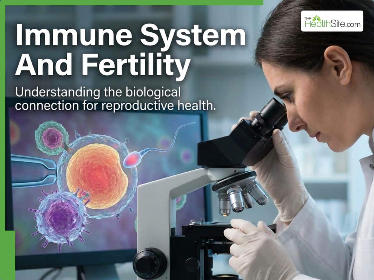 Immune System And Fertility: Expert Explains How It Controls Implantation And Early Pregnancy Success