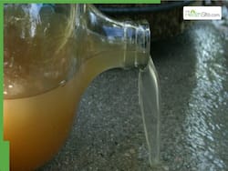 Indore Water Crisis: What Happens When You Drink Contaminated Water?