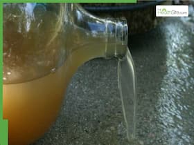 Indore Water Crisis: What Happens When You Drink Contaminated Water?