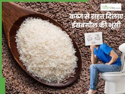 कब्ज दूर करने के लिए खाएं ईसबगोल की भूसी, बढ़ता मोटापा भी होगा कम