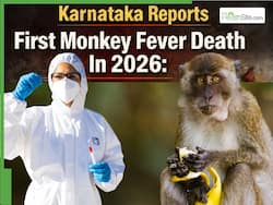 Karnataka Reports First Monkey Fever Death In 2026: How Deadly Is Kyasanur Forest Disease (KFD)? All You Need To Know