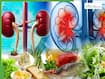 5 Kidney-Friendly Foods That Help Protect Your Kidneys Naturally