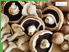 Mushrooms Are More Than a Garnish Here s Why They re Good For You Mushrooms Are More Than a Garnish Here s Why They re Good For You