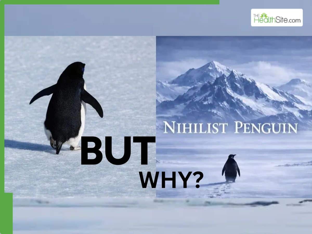 Nihilist Penguin Viral Video Explained: Why a Lost Penguin Is Becoming a Mental Health Metaphor for Loneliness and Burnout