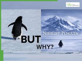 Nihilist Penguin Viral Video Explained: Why a Lost Penguin Is Becoming a Mental Health Metaphor for Loneliness and Burnout
