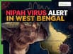 Nipah Virus Alert In West Bengal LIVE Updates: 'Enclosures And Pathways Disinfected Twice’: Alipore Zoo Takes Steps After NiV Cases In Bengal