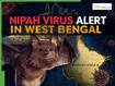 Nipah Virus Alert In West Bengal LIVE Updates: 'Enclosures And Pathways Disinfected Twice’: Alipore Zoo Takes Steps After NiV Cases In Bengal
