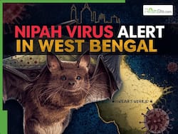 Nipah Virus Alert In West Bengal LIVE Updates: 3 More Infected With NiV, Toll Rises To 5; Over 100 Quarantined - Key Developments Right Now