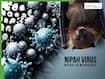 Nipah Virus Outbreak 2026: Deadly Bat-Borne Virus Can Cause Permanent Brain Damage, Coma, Cardiac Arrest - Expert Warns