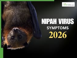 Nipah Virus Symptoms 2026: 5 Deadliest Signs You Are Infected With NiV