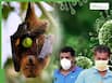 Nipah Virus Update: Over 100 Quarantined After Hospital Linked Outbreak, State Issues Emergency Measures