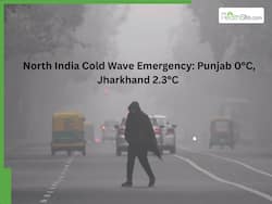 Severe Cold Wave Grips North India: Punjab Hits 0  C, Jharkhand 2.3  C     Prepare Yourself For Freezing Weather