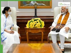 PM Modi Wishes Mamata Banerjee on Her 71st Birthday: A Look At West Bengal CM   s Health, Diet And Political Grit