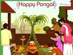 Pongal 2026 Special: Guilt-Free Sweet Recipes,Healthier Versions You   ll Love