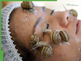 The Truth About Snail Mucin:Miracle Skincare Ingredient Or Just A Trend? The Truth About Snail Mucin:Miracle Skincare Ingredient Or Just A Trend?