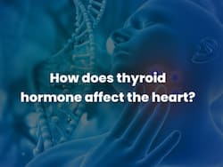 Thyroid Hormone: How Does It Affects Your Heart