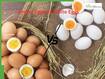What Most People Get Wrong About White Vs Brown Eggs