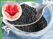 Why Kalonji Is Good For Heart Health: Benefits Of Black Nigella Seeds Explained