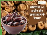 सर्दियों में रोज 1-1 अंजीर और खजूर खाने से क्या होता है? जानें इसके फायदे