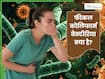 क्या है फीकल कोलिफार्म बैक्टीरिया? जिसकी वजह से इंदौर में जा रही है लोगों की जान