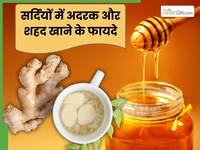सर्दियों में अदरक और शहद एक साथ लेने से मिलेंगे ये 3 फायदे, जरूर करें सेवन