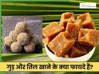 मकर संक्रांति में तिल और गुड़ खाने से क्या होता है? इन 2 चीजों के हैं अनगिनत फायदे