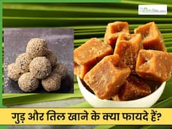 मकर संक्रांति में तिल और गुड़ खाने से क्या होता है? इन 2 चीजों के हैं अनगिनत फायदे