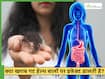 गट हेल्थ और बाल: क्या कब्ज और खराब पाचन आपके बालों की सेहत बिगाड़ रहा है?
