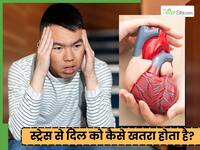 क्रोनिक स्ट्रेस बढ़ा रहा कोलेस्ट्रॉल, डॉक्टर ने बताया कैसे कोर्टिसोल चुपचाप दिल को नुकसान पहुंचा रहा है नुकसान
