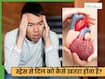 क्रोनिक स्ट्रेस बढ़ा रहा कोलेस्ट्रॉल, डॉक्टर ने बताया कैसे कोर्टिसोल चुपचाप दिल को नुकसान पहुंचा रहा है नुकसान